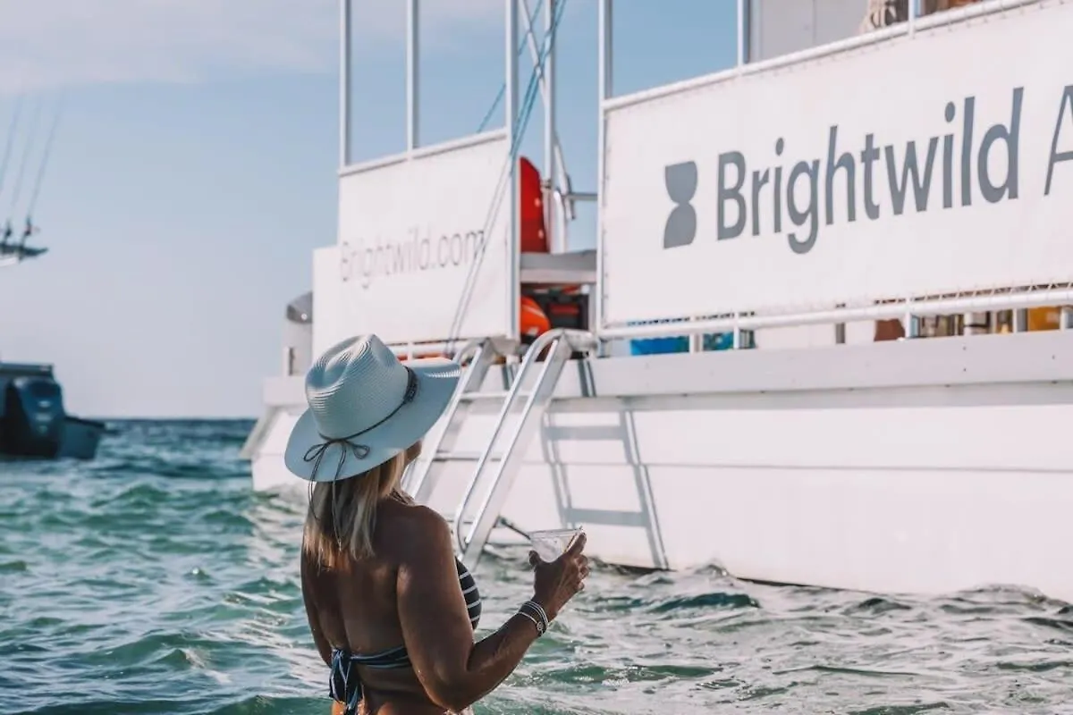 Brand New Catchlight House With Private Pool Villa Key West Holiday home